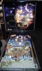 Zonderik Belgian Beer Pinball in Gent Horeca Expo 2010